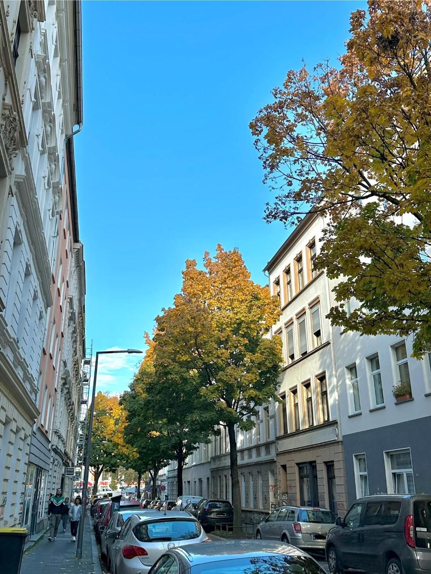 Privates City-apartement Nah Der Messe Und Lanxessarena Köln